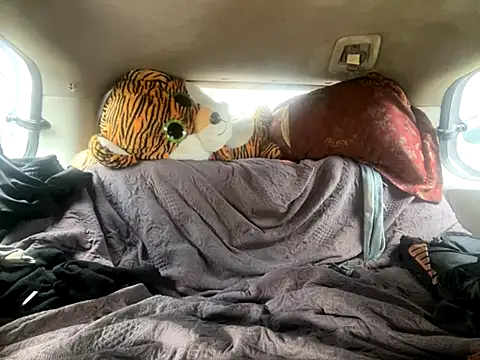 Snapshot of SlimeCrownzOut5 chatting on 11/18/25, 06:01 SlimeCrownzOut5 online show from 11/18/25, 06:01