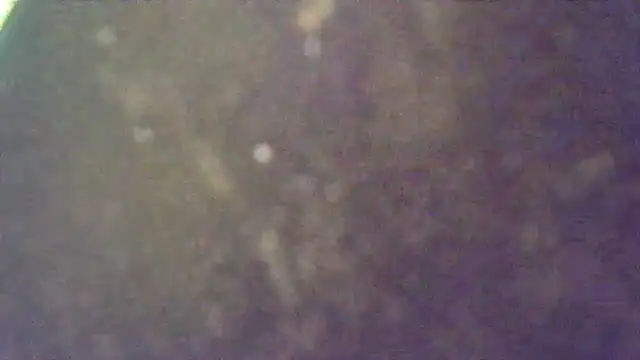 SexyShamrocks online show from 09/16/25, 12:55