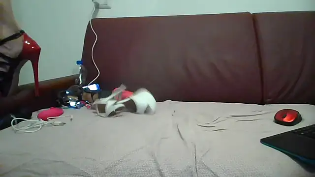 Snapshot of Danielasexy74 chatting on 11/14/25, 04:38 Danielasexy74 online show from 11/14/25, 04:38