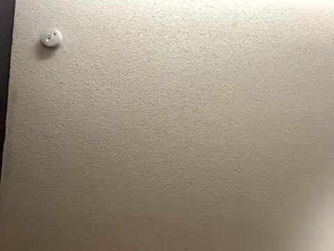 Snapshot of Bigbootylavishh chatting on 12/17/25, 04:35 Bigbootylavishh online show from 12/17/25, 04:35