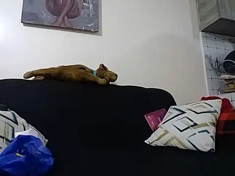 Snapshot of hoely_grail01 chatting on 12/05/25, 07:54 hoely grail01 online show from 12/05/25, 07:54