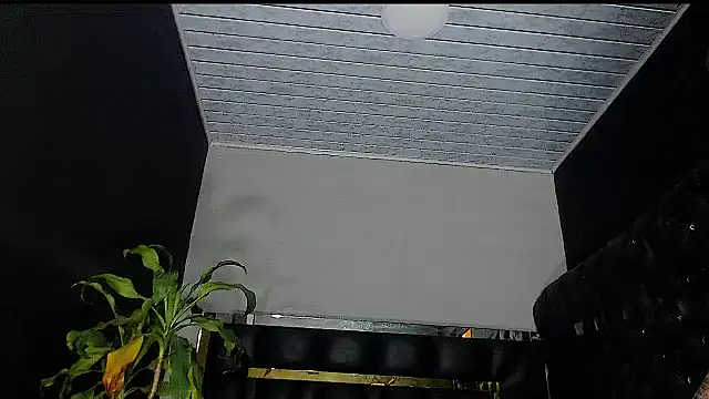 Kitie Petarda online show from 10/19/25, 09:59