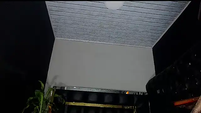 Kitie Petarda online show from 10/23/25, 08:46