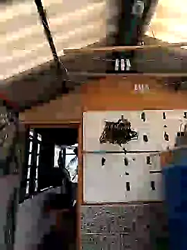 rebekka simpson online show from 03/09/25, 08:10