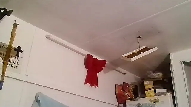 allissonw13 online show from 01/25/25, 04:23