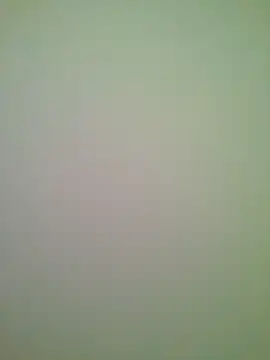 Lovensetest online show from 06/29/26, 05:57
