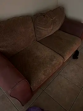 Snapshot of TSPornStarDancer chatting on 03/09/25, 04:55 TSPornStarDancer online show from 03/09/25, 04:55