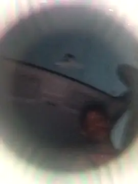 Snapshot of Ursonego chatting on 10/03/25, 10:07 Ursonego online show from 10/03/25, 10:07