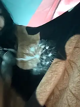 Snapshot of Angel_Anamika chatting on 11/26/25, 12:22 Angel Anamika online show from 11/26/25, 12:22