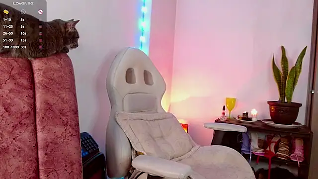 zoewils online show from 05/29/26, 06:11