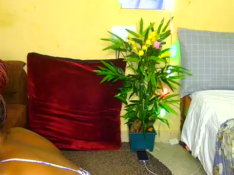 Naughtygal98 online show from 07/07/26, 06:27