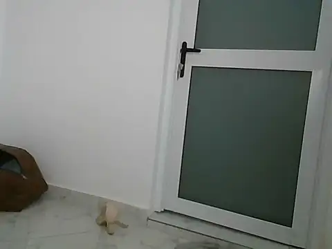 Snapshot of lugari chatting on 12/21/24, 10:19 lugari online show from 12/21/24, 10:19