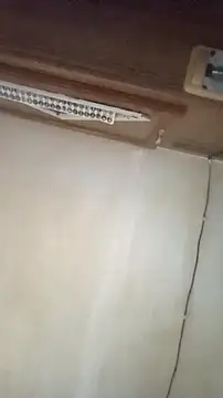 Snapshot of Dllarge chatting on 10/15/25, 03:50 Dllarge online show from 10/15/25, 03:50