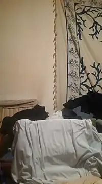 felice66 online show from 12/11/24, 04:18