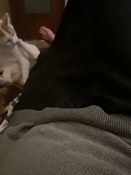 bigboy30X online show from 10/31/25, 04:19