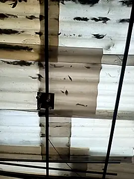 weedmanhot28 online show from 09/21/25, 12:07