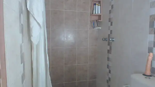 Snapshot of brigitht chatting on 03/11/25, 03:02 brigitht online show from 03/11/25, 03:02