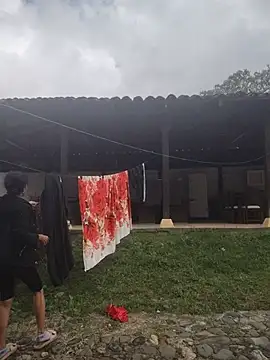 brigitht online show from 07/22/26, 02:09