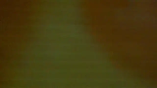 shanel taylor online show from 12/18/24, 05:04