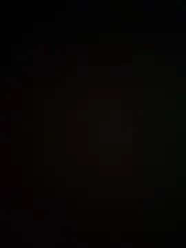 saracaball  online show from 06/09/26, 03:40