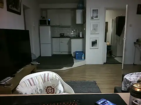 mihaimichael online show from 04/29/26, 08:04