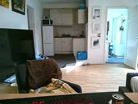 mihaimichael online show from 05/11/26, 11:49