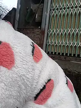 Sweetlove 77 online show from 12/15/24, 07:46