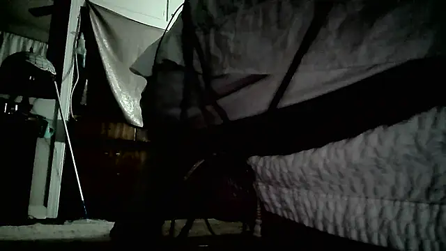 paiday online show from 12/25/24, 04:43