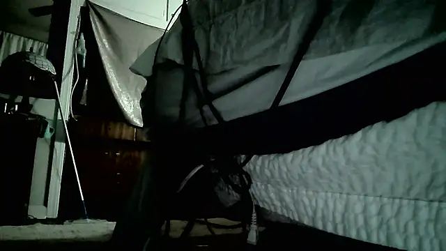 paiday online show from 12/26/24, 07:05