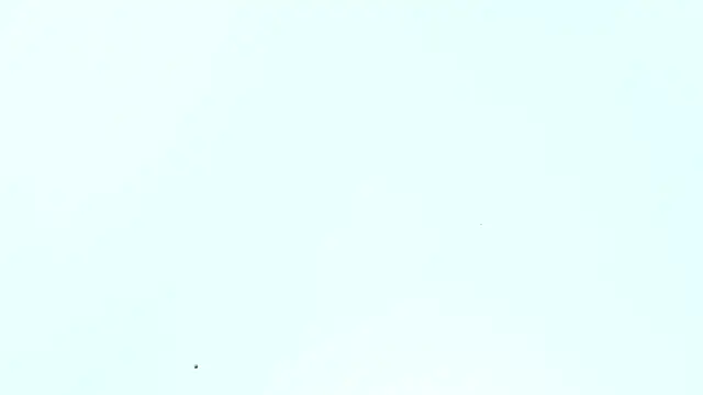  Lakshmi hotx online show from 12/05/24, 12:33