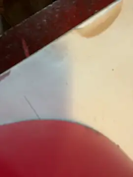 Snapshot of joeycbigcock chatting on 01/02/25, 03:19 joeycbigcock online show from 01/02/25, 03:19