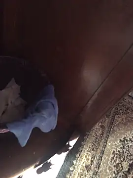 Snapshot of TangoingSorbet chatting on 11/02/25, 10:17 TangoingSorbet online show from 11/02/25, 10:17