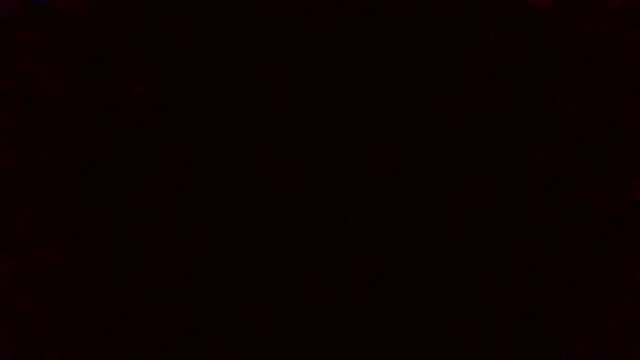 Tinny and Candy online show from 01/22/25, 11:32