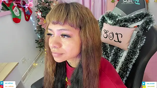 Snapshot of zoesullivan chatting on 11/23/25, 10:04 zoesullivan online show from 11/23/25, 10:04