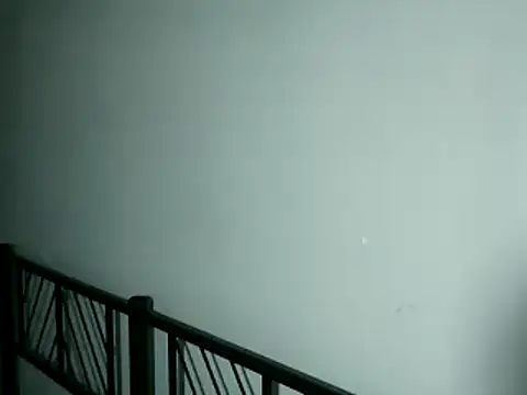 Snapshot of 100Tauros chatting on 11/13/25, 10:30 100Tauros online show from 11/13/25, 10:30