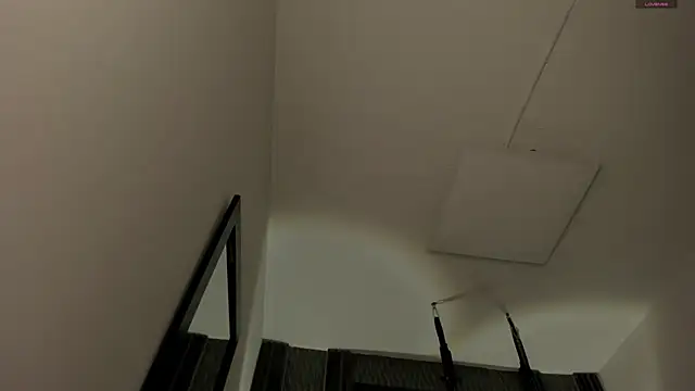 selene red  online show from 11/18/25, 03:16