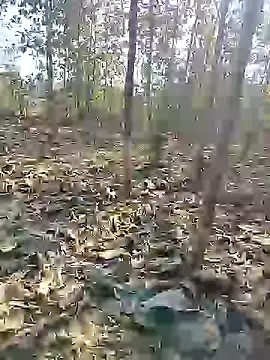 88karan88 online show from 12/27/24, 04:58