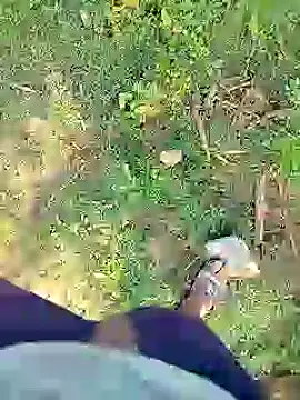 88karan88 online show from 01/23/25, 03:37