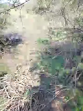 88karan88 online show from 01/25/25, 08:10