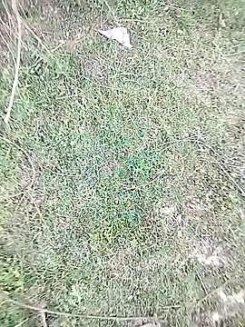 88karan88 online show from 02/23/25, 10:28