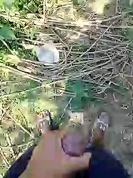 88karan88 online show from 02/25/25, 06:58