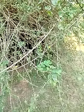 88karan88 online show from 03/01/25, 10:24