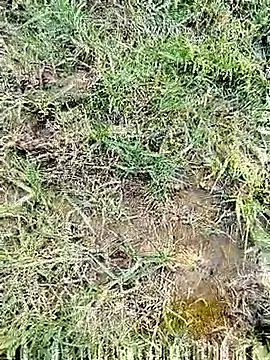 88karan88 online show from 03/03/25, 11:22