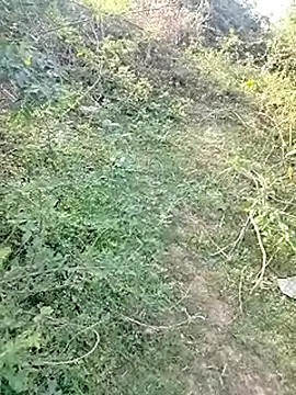 88karan88 online show from 03/04/25, 10:46