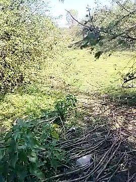 88karan88 online show from 03/07/25, 04:24