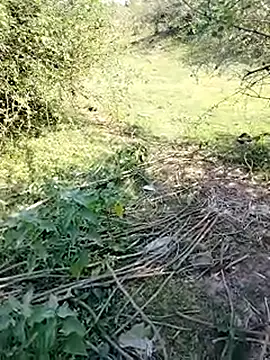 88karan88 online show from 03/11/25, 04:43