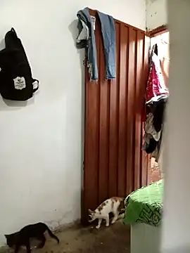 Snapshot of Andreita_95 chatting on 11/13/25, 11:31 Andreita 95 online show from 11/13/25, 11:31