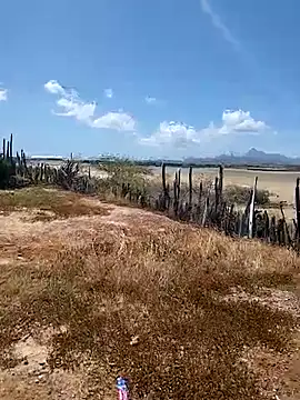 daniel traviexxxo online show from 10/12/25, 05:12