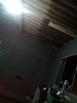 Japohzl2 online show from 11/08/25, 07:19