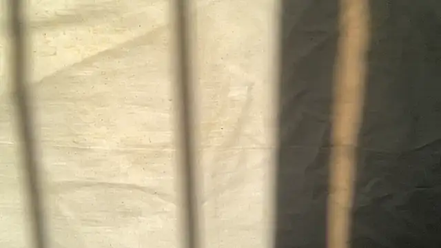 beforeyou69 online show from 11/06/25, 08:04